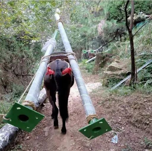 湖州骡马运输队