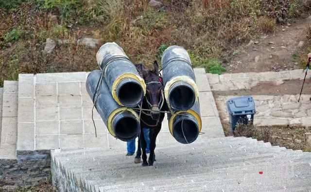 湖州马帮运输